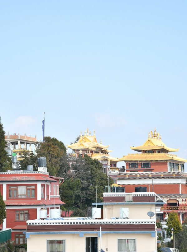 meelan-raut-WDlLYm1LWnk-unsplash